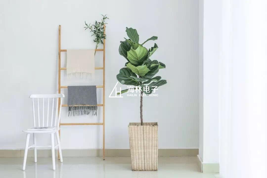 1548297091986985.jpg 7.jpg